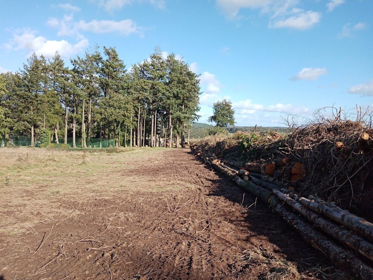Land clearance: trees, stumps and scrub removed