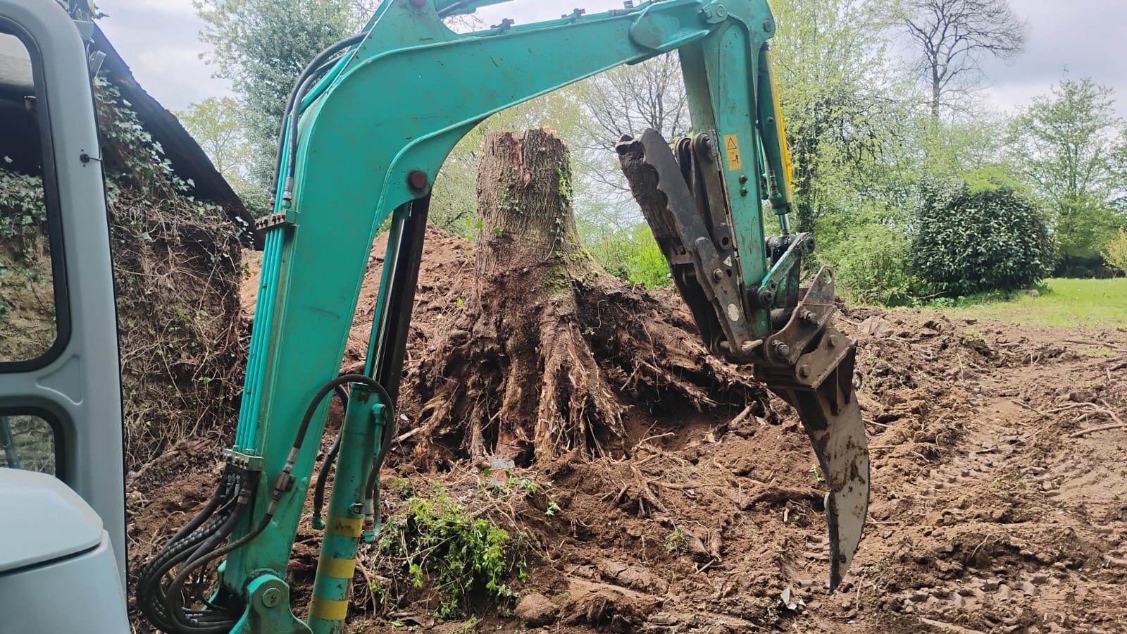 Stump pulled out with the digger