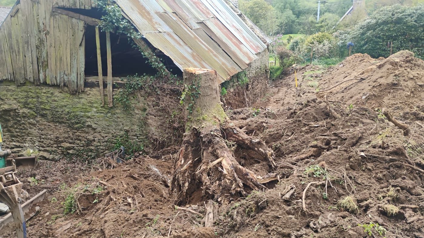 Land clearance and demolition